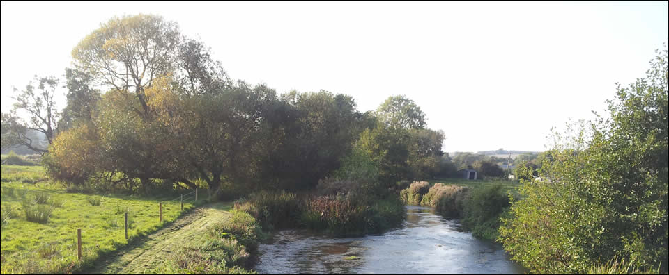 River Nadder, Barford St Martin - The Salisbury District Angling Club