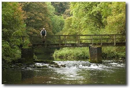 Wild Trout Trust Auction 2019