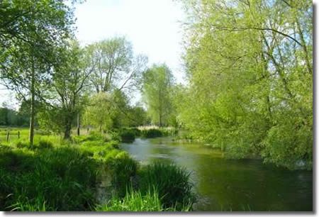 Wild Trout Trust Auction 2019