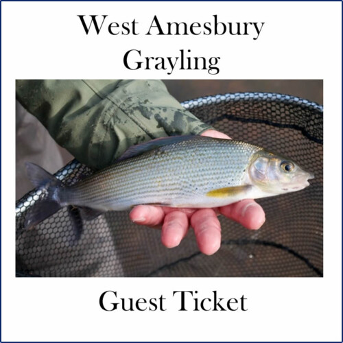 Grayling Guest Ticker - Salisbury & District Angling Club
