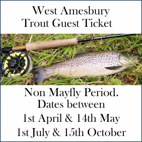 Trout Guest Ticket - S&DAC